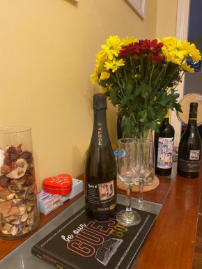 Comfy Apartment near Dublin Airport with FREE PARKING